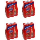 Uludağ Frutti Extra Orman Meyveli 250 Ml X 24 Adet