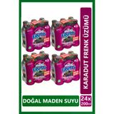 Uludağ Frutti Karadut Frenk Üzümü Aromalı Maden Suyu 200 ml x 24 Adet