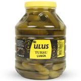 Ulus 5 kg Kornişon Salatalık Turşusu
