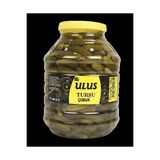 Ulus Çubuk Turşusu No:3 Kornişon 9 kg