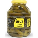 Ulus Turşu Kornişon Salatalık Turşusu 2 Numara 5 kg