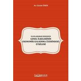Uluslararası Hukukun Genel İlkelerinin Ekonomik Kalkınma Üzerindeki Etkileri