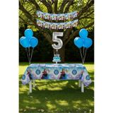Umamiçe Frozen Elsa Temalı 5 Yaş Doğum Günü Parti Seti – Masa Örtüsü + Banner + Balonlar