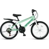 Ümit Speedo 20 Jant Vitesli Çocuk Bisikleti 2067 (115-140 cm Arası Boy) - Mint Yeşili