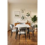 UMS MOBİLYA Masa Sandalye Takımı - Mutfak Masası - Salon ve Yemek Masası 70x120 Mercan Desen