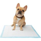Umts Kedi Köpek Çiş Pedi Süper Emici
