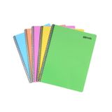 Umur Mynote Spiralli Defter Flex Pastel A4 120 Yaprak Çizgili (Karışık Renk 1 Adet)