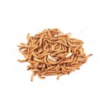 Un Kurdu 2-3 Cm Boy Net: 1 Kg 10.000 Adet