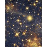 Unbound Expressions: Starry Nocturne: An 8 1/2 x 11 Lined, Indexed, Soft Cover Journal