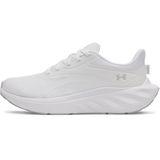 Under Armour Ascend Kadın Spor Ayakkabı 6009828-100
