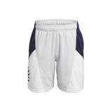 Under Armour Curry Boys Splash Short Erkek Çocuk Şort Halo Gray/White/Midnight Navy YSM