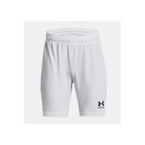 Under Armour Erkek Çocuk UA Core Şort 1375831-100