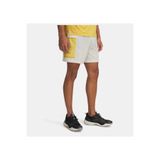 Under Armour Erkek UA Trail Run 5inch Şort 1383236-279