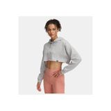 Under Armour Kadın UA Icon Terry Crop Kapüşonlu Sweatshirt 1389640-011