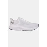 Under Armour Ua Charged Rogue 5 Erkek Koşu Ve Yürüyüş Ayakkabısı 3028256-100