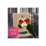 UniqBirdToys Trendme Ahşap Aynalı Kuş Tüneği