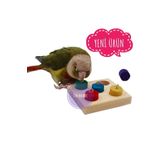 UniqBirdToys Trendme Ahşap Kuş Eğitim Oyuncağı