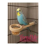 UniqBirdToys TrendMe Atıştırmalık Yemlik ve Mamalıklı Kuş Tüneği