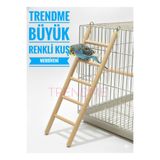 UniqBirdToys Trendme Büyük Ahşap Kuş Merdiveni 30 Cm ( Boyasız )