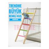 UniqBirdToys Trendme Büyük Ahşap Kuş Merdiveni 30 Cm (Renkli)