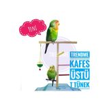 UniqBirdToys Trendme Kafes Üstü Basamaklı Kuş T Tünek ( Sultan,Cennet,Muhabbet Vb.)