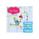 UniqBirdToys Trendme Zilli Boncuklu Toplu Kuş Tüneği Oyuncak Muhabbet , Finch Vb