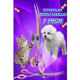 Uniquem 7 inç Kavisli Kedi Köpek Ponpon Makası Açılı Kesim Makası