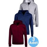 Uniquetrenders Çocuk Unisex Pamuklu Kapüşonlu Fermuarlı Sweatshirt 3'Lü Set Bordo - Lacivert - Gri 7 Yaş