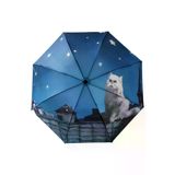 Uniquetrenders MRLX0019 Kedi Desenli Canlı Lüx Renkli Baskılı Rüzgara Dayanıklı 8 Telli Katlanabilir Manuel Şemsiye