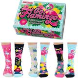 United Oddsocks Kadın Odd Go Flamingo Hediye Paketi - 6 Çorap, Çok renkli, UK 4-8 EUR 37-42 US 6.5-10.5