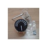 Universal 40-110° Gazlı Porselen Termostat Why