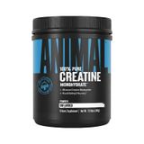 Universal Animal Creatine Monohydrate 300 Gr Standart