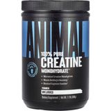 Universal Animal Creatine Monohydrate Monohidrat 500gr - 100 SERVİS