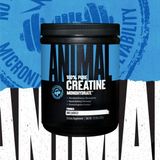 Universal Animal Creatine(Kreatin) Monohydrate(Monohidrat) 300 gr - 60 Servis (Amerikan Versiyon) - 60 SERVİS