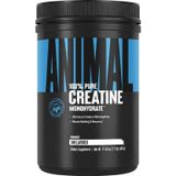 Universal Nutrition Universal Animal Creatine Monohydrate 500 gr