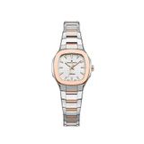 Universe Constant Uc1331 Nebulon Lady Metalik Rose Gold Çelik Kadın Kol Saati - Gri