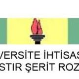 Üniversite İhtisas Ve Mastır Şerit Rozeti