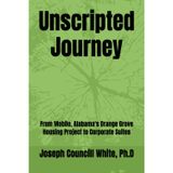 Unscripted Journey: From Mobile, Alabama's Orange Grove Housing Project to Corporate Suites