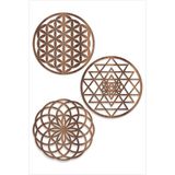 Unt Ahşap Yaşam Çiçeği Sri Yantra Torus Nefesi Üçlü Dekoratif Tablo Duvar Süsü Ev Hediyesi Ceviz 48 X 48