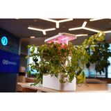 Uptechlabs: U-Herb Smart Garden Grow Light (Akıllı Bahçe, Hidroponik, Masaüstü Bitki Aydınlatma Sistemi)