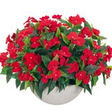 Uqueeten Yapay Impatiens Dış Mekan için Buket Çiçekler Dış Mekan Impatiens Bitkiler için İpek Sahte Çiçekler Dekor İç Mekan Saksıları Mutfak Saksıları ve Balkon Süslemeleri 4 Parça (Kırmızı)