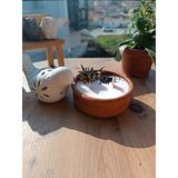 Urania Candle Urania Doğal Sandal Ağacı- Lavanta- Kahve- Tarçın ve Amber Kokusu %100 Doğal Soya Mum Doğal Güveç Aromaterapi Mum Dekoratif Mum Vegan