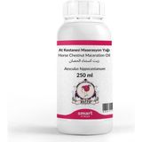 Uravas Store Elito At Kestanesi Maserasyon Yağı Aesculus Hippocastanum 250 ml
