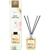 Uravas Store Ihvan Online Mango Kokusu 100 ml Çubuklu Oda Kokusu