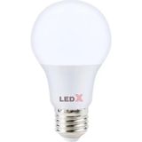 Uravas Store Ledx AL-A109G 9 Watt E27 6500K 810 Lümen Günışığı LED Ampul