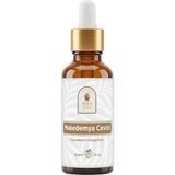 Uravas Store Makedemya Cevizi Yağı 30 ml –%100 Saf ve Doğal, Besleyici ve Onarıcı Bakım Yağı