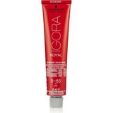 Uravas Store Schwarzkopf Professional Igora-Royal 5-65 Açık Kahve-Çikolata Altın