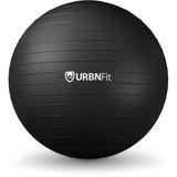 URBNFit Jimnastik topu 65 cm – Jimnastik oturma topu ofis, hamilelik, spor için – pilates topu, yoga topu – denge ve fitness topu pompalı
