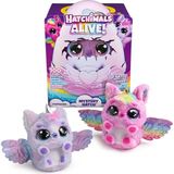 urfakent bilişim ve medya danışmanlık Hatchimals Sürpriz 4 Karakterli Büyük Yumurta Oyun Seti