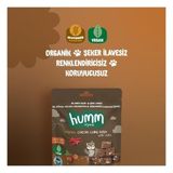 Urfakent Organik Fındıklı Kakaolu Vegan Kek 30 gr